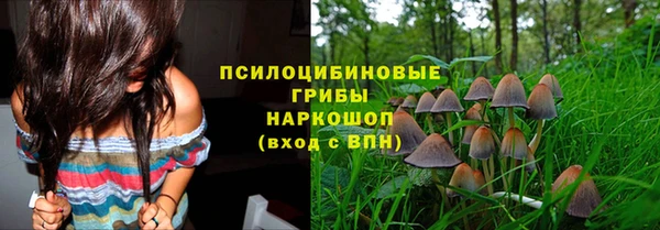 a pvp Пестово