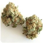 Шишки "White Widow"  (Белая вдова)  Гидропоника -  Бошка VHQ в Светлогорске