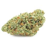 Шишки OG Kush  (Гидропоника, бошки) VHQ в Светлогорске